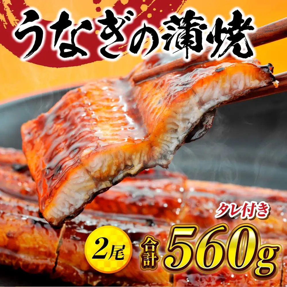 うなぎの蒲焼2尾 タレ付き（1本） YZ001 