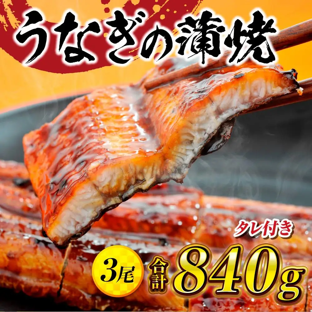 うなぎの蒲焼3尾 タレ付き（2本） YZ002 