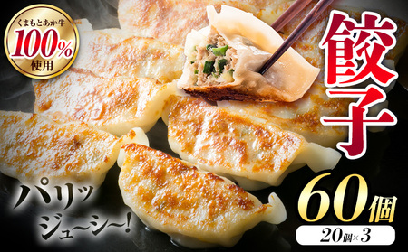 くまもと あか牛 100％ 餃子 20個入り×3(計60個) 牛肉 《30日以内に出荷予定(土日祝除く)》