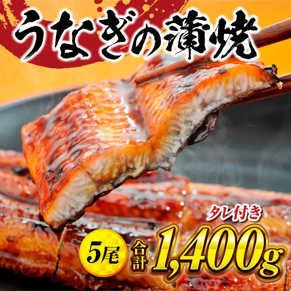 うなぎの蒲焼5尾 タレ付き（4本） YZ004 