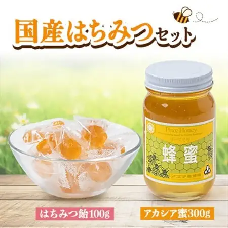 国産蜂蜜セット(アカシア蜜とはちみつキャンディ) はちみつと飴の詰合せ_調味料 はちみつ  ハチミツ 蜂蜜_【1272707】