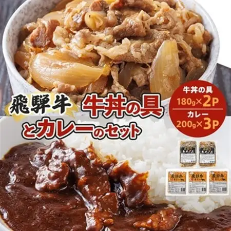 飛騨牛牛丼の具とカレーのセット【2種5食】冷凍食品詰め合わせセット　【配送不可地域：離島】【1213292】