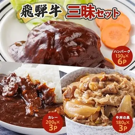 飛騨牛三昧(カレー・ハンバーグ・牛丼の具)【3種12食】冷凍食品詰め合わせセット【配送不可地域：離島】【1213293】