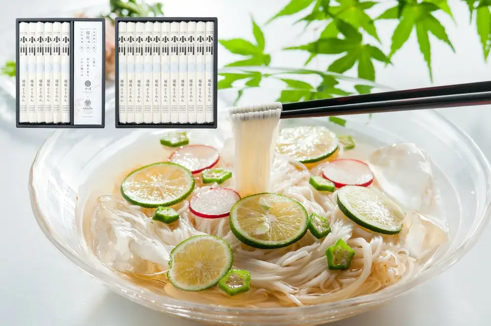小川の稲庭そうめん VST-30・VS-40セット【(株)稲庭うどん小川】[H0504]