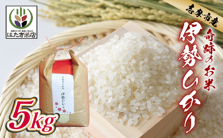 伊勢ひかり 5kg お米 白米 精米 伊勢 志摩 【三重県志摩市】