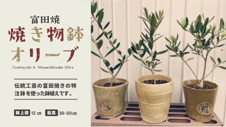 A27　焼き物鉢オリーブ