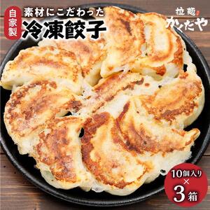 素材にこだわった自家製冷凍餃子【食品 加工食品 人気 おすすめ 】