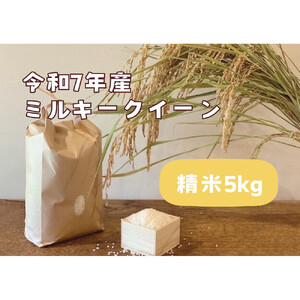 【令和7年産】栃木市岩舟町産ミルキークイーン5kg【精米】米　ミルキー　農家直送　産地直送