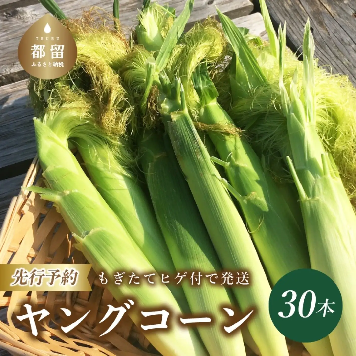 【2026年先行予約】山梨県産 ヤングコーン 30本入｜ヤングコーン　トウモロコシ