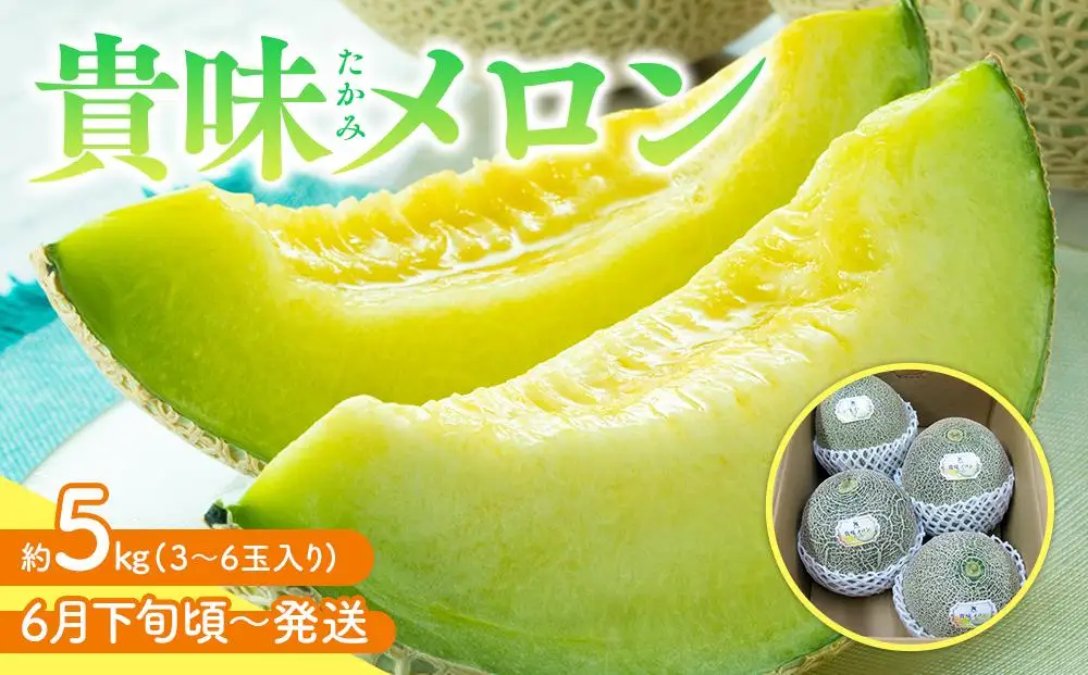 貴味(たかみ) メロン 約5kg (3～6玉入り)