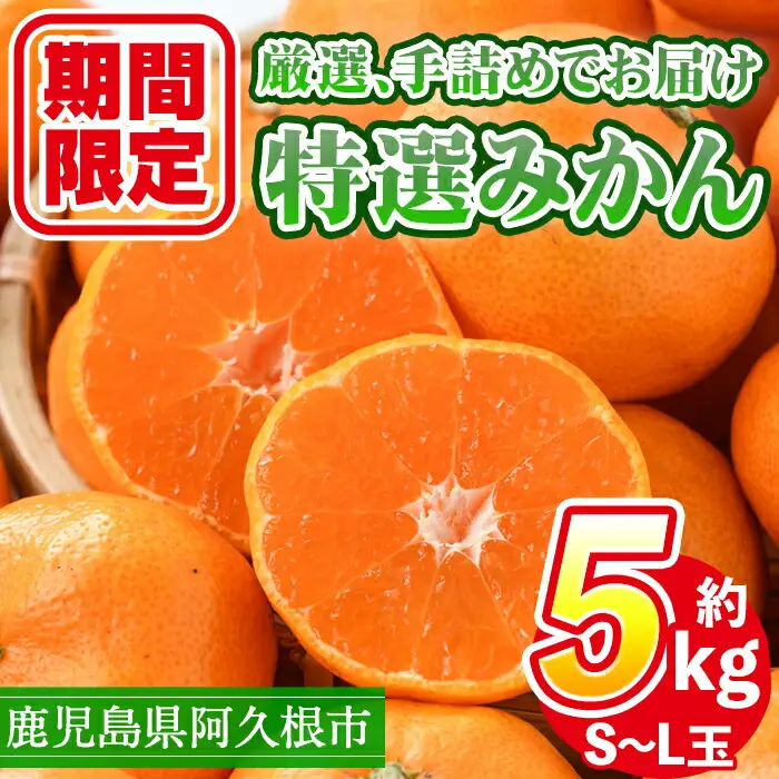 ＜先行予約受付中！2026年10月上旬以降順次発送予定＞ 数量限定！鹿児島県産 特選みかん(計約5kg) 国産 鹿児島県産 阿久根市産柑橘 果物 くだもの フルーツ 蜜柑 ミカン デザート 旬 数量限定 期間限定 手詰め 手詰【三笠農業生産】akn051-09