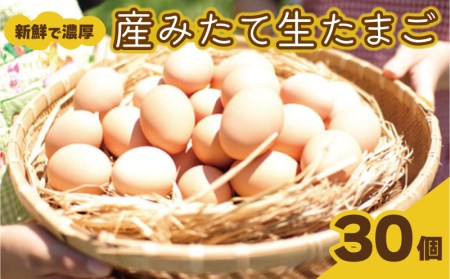 【新鮮たまご】 産みたて たまご 卵 30個
