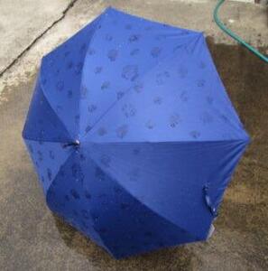 とち介の雨日和～雨の日が楽しみになる傘～(長傘)【玩具 雑貨 日用品 人気 おすすめ 】