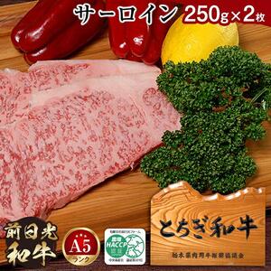 とちぎ和牛・前日光和牛（サーロイン250g 2枚）｜肉 お肉 和牛 最高級 A5ランク A5等級 ステーキ