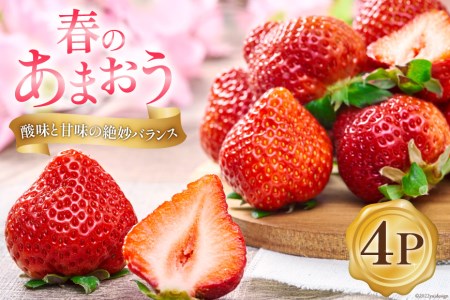 【期間限定発送】いちご あまおう 4パック いちご [21760096]