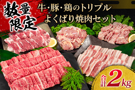 数量限定 牛肉 豚肉 鶏肉 トリプル よくばり 焼肉 セット 合計2kg 宮崎牛 ブランド牛 黒毛和牛 国産 食品 高級 贅沢 ご褒美 お祝 人気 おすすめ おかず お弁当 BBQ キャンプ グランピング お取り寄せ グルメ 詰め合わせ 大容量 宮崎県 日南市 送料無料_CB101-25