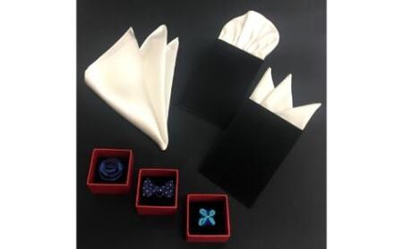 ラぺルピン3個セット+ポケットチーフ【038C-002】