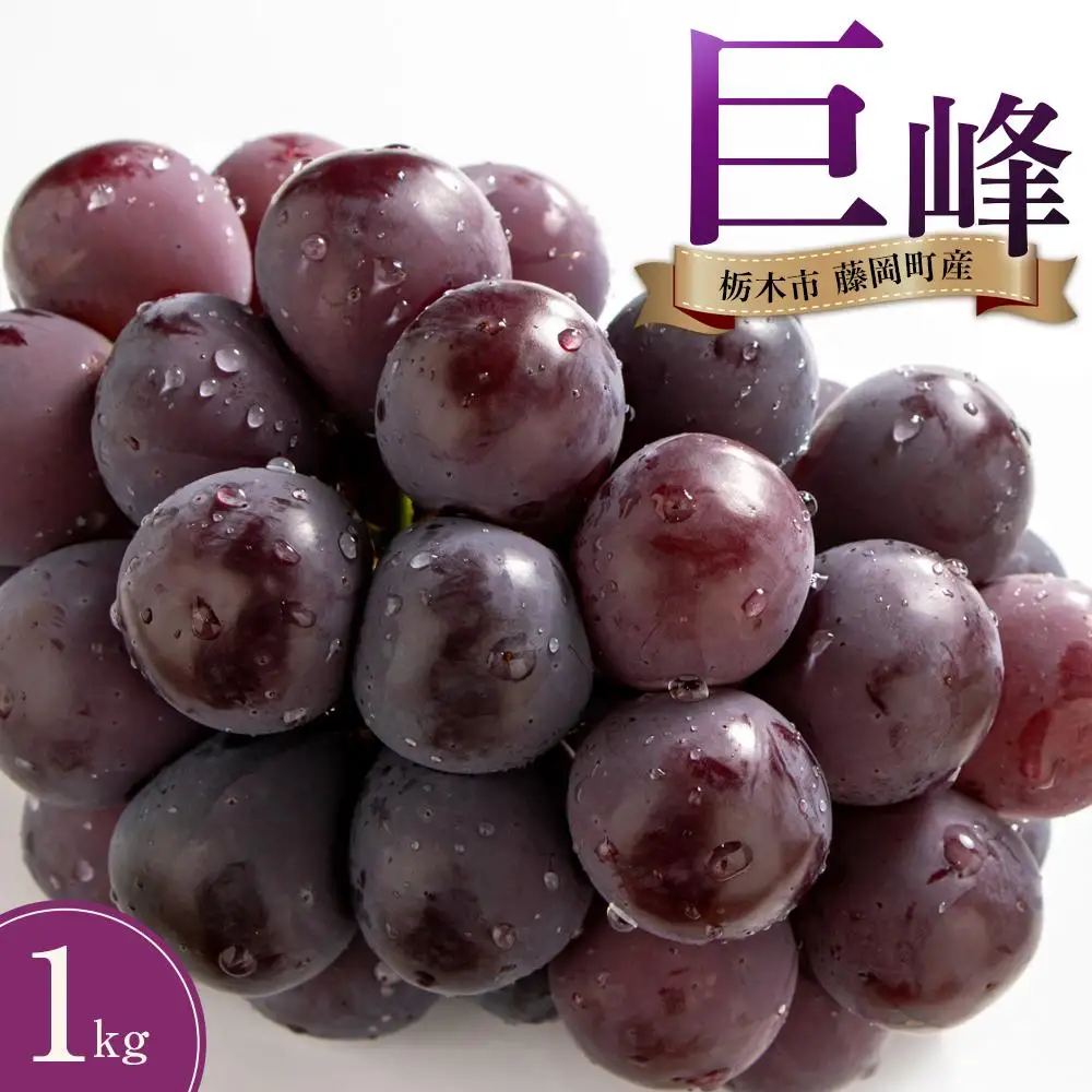 ぶどう 巨峰 栃木市藤岡町産 1kg【フルーツ 果物 くだもの 食品 人気 おすすめ 】