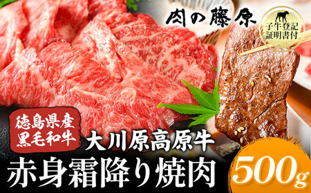 牛肉 大川原高原牛 赤身霜降り焼肉 500g 《30日以内に出荷予定(土日祝除く)》| 牛肉 霜降り 500g 