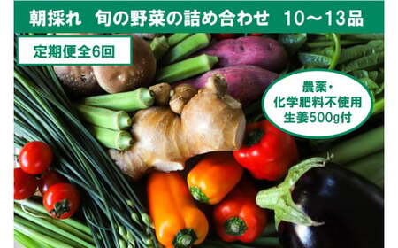【6回定期便】栽培期間中に農薬不使用の生姜200gと旬の野菜詰め合わせ10〜13品目 野菜 野菜セット 詰め合わせ しょうが ショウガ 旬 新鮮 朝どれ 取り寄せ【株式会社SIMA】 [BQAZ007]