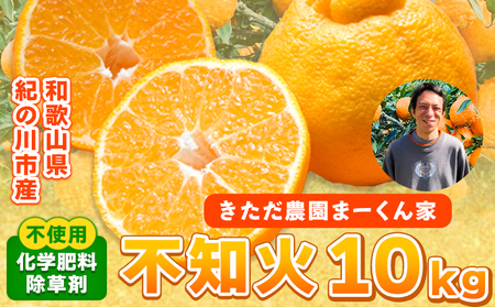 【先行予約】紀の川市不知火 まーくん家の不知火 約10kg きただ農園まーくん家《2027年2月末-3月下旬頃出荷》和歌山県 紀の川市 柑橘 化学肥料・除草剤不使用 しらぬい