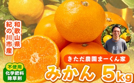 【先行予約】まーくん家のみかん 約5kg 《11月中旬-12月中旬頃出荷》 和歌山県 紀の川市 柑橘 きただ農園まーくん家 化学肥料・除草剤不使用