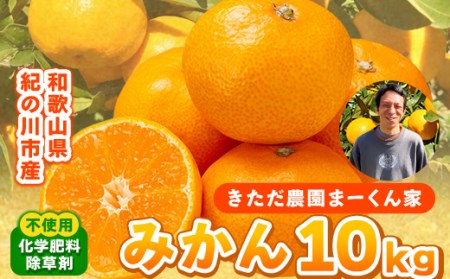 【先行予約】まーくん家のみかん 約10kg 《11月中旬-12月中旬頃出荷》　みかんみかんみかんみかんみかん