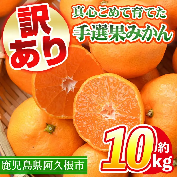 ＜先行予約受付中！2026年10月中旬以降順次発送予定＞ 訳あり！鹿児島県産手選果みかん(計10kg) 国産 柑橘 果物 フルーツ ご家庭用 サイズ 不揃い【三笠農業生産】akn051-11