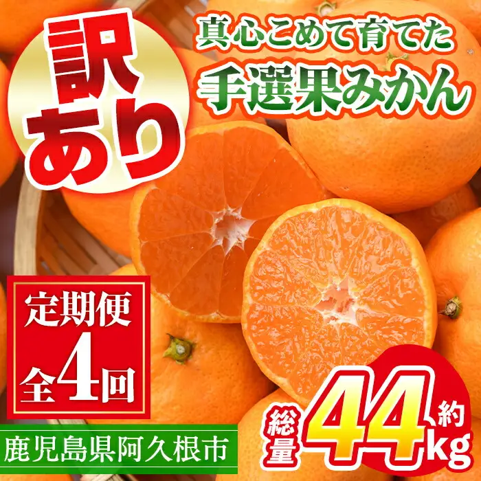 ＜先行予約受付中！定期便・全4回(10月・11月・12月・1月)＞＜訳あり・不揃い＞鹿児島県産！手選果みかん(総量約44kg・約11kg×4回) 国産 蜜柑 柑橘 果物 フルーツ ミカン 旬 冬 ご家庭用 おすそ分け【三笠農業生産】akn051-16