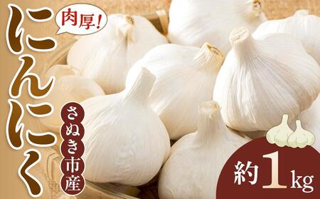 先行予約 さぬき市産 にんにく 約1kg 5月中旬から順次発送