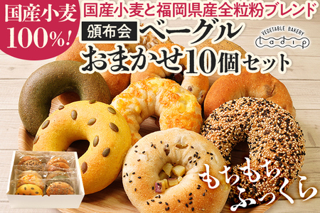 【頒布会】ベーグルおまかせ10個セット（月1回／全3回） ベーグル
