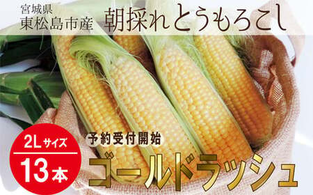 【先行予約：2026年7月中旬頃から発送予定】とうもろこし ゴールドラッシュ 2Lサイズ 合計 13本 1箱 東松島市産 朝採れ とみぎ とうみぎ コーン 夏野菜 産地直送 宮城県 東松島市