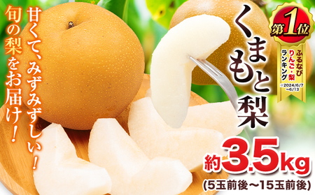 くまもと梨 約3.5kg 梨 熊本県産　《8月下旬‐11月中旬頃より出荷予定》