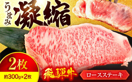飛騨牛 A5ランク ステーキ (300g〜400g相当×2枚) 【マルゴー】和牛 牛肉 お取り寄せ  [MBE001]