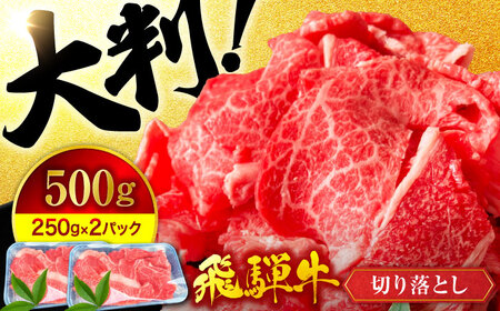 飛騨牛 切り落とし500g(250g×2) A5飛騨牛【マルゴー】[MBE002]