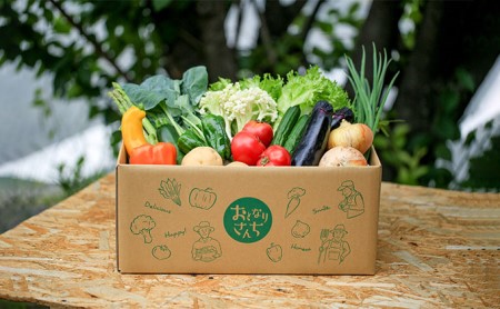 おとなりさんち厳選！浜松から鮮度抜群！旬の野菜BOX【配送不可：沖縄・離島】 セット 詰合せ 