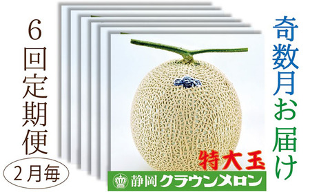 クラウンメロン特大玉1玉入【奇数月6回定期便】【配送不可：離島】 果物類 メロン青肉 