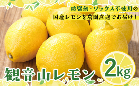 ノーワックス 観音山レモン 2kg
