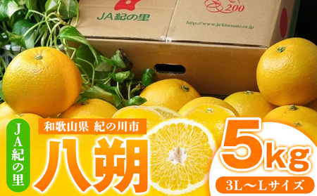 【先行予約】八朔 約5kg(3L-Lサイズ)JAわかやま 紀の里地域本部 《2027年1月上旬-3月末頃出荷》 和歌山県 紀の川市 果物 フルーツ 柑橘 はっさく