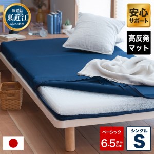 高反発 寝具 ブレスエアー製 敷布団「ベーシックS」 近江化成工業株式会社 滋賀県 東近江市 I08 高反発敷布団 マットレス ブレスエアー シングル 体圧分散 洗える 抗菌 防臭 腰痛 肩こり 通気性 国産 快眠 寝姿勢サポート 三つ折り 軽量 硬め 柔らかめ