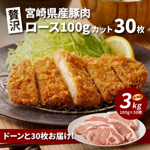 贅沢宮崎県産豚肉ロース100gカット30枚_K16_0018_3