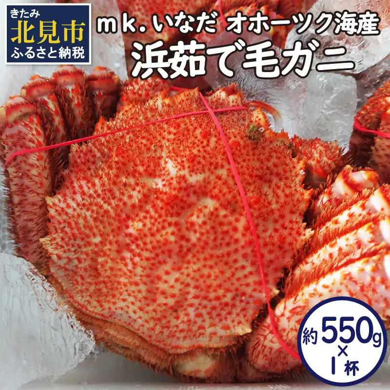 オホーツク海産 浜茹で毛ガニ 約550g×1杯 ( 海鮮 かに カニ 蟹 毛ガニ ボイル 贈答 ギフト )【113-0020】