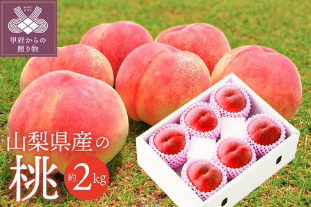 〈2026年度配送分〉山梨県産 桃 約2kg（6～8玉）