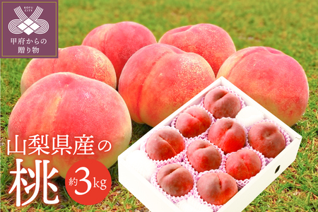 〈2026年度配送分〉山梨県産 桃 約3kg（8～12玉）