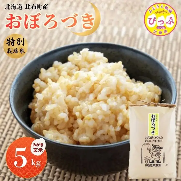 令和7年産 特別栽培米 おぼろづき みがき玄米 5kg【西間農園】玄米 お米 米 北海道産 北海道米 国産 コメ JGAP認証農場 北海道 比布町 ぴっぷ 1005-011
