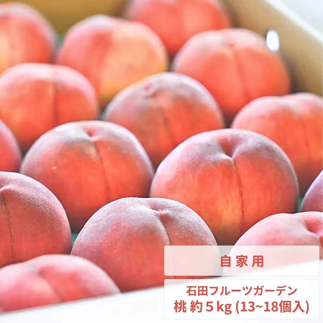 先行予約 桃 自家用 5kg程度 品種おまかせ 新潟県産 桃 石田フルーツガーデン