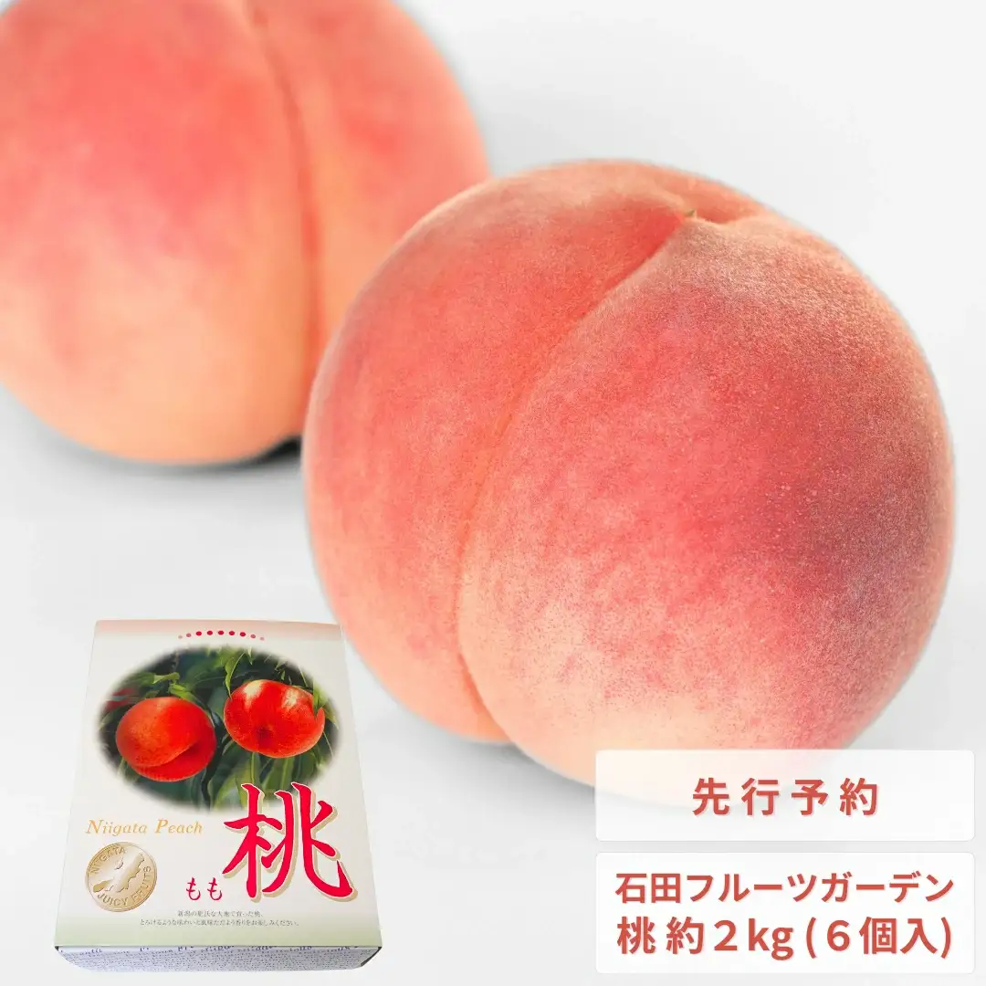 先行予約 桃 2kg程度 令和8年産 新潟県 桃 石田フルーツガーデン
