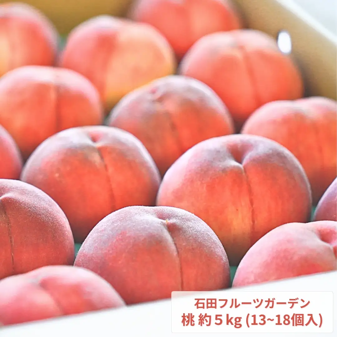 先行予約 桃 5kg程度 令和8年産 新潟県 桃 石田フルーツガーデン