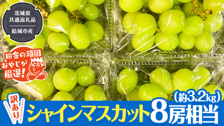 【 訳あり 】 シャインマスカット 8房相当（約3.2kg） 【2026年9月より発送開始】 （茨城県共通返礼品 [ぶどう]：結城市産） 