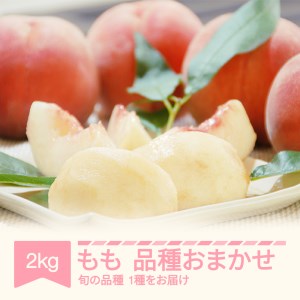 【先行予約】もも 桃 品種おまかせ 約2kg 令和八年産 2026年産 山形県産 果物 フルーツ mm-moomx2-b ※沖縄・離島への配送不可